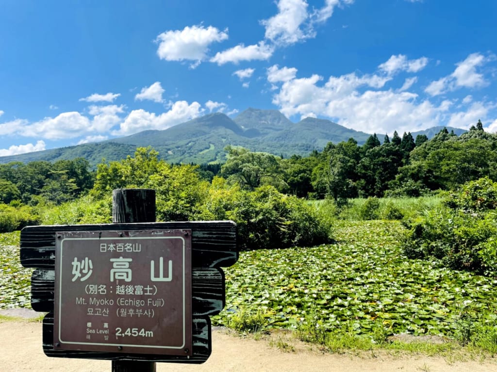いもり池　妙高山８月