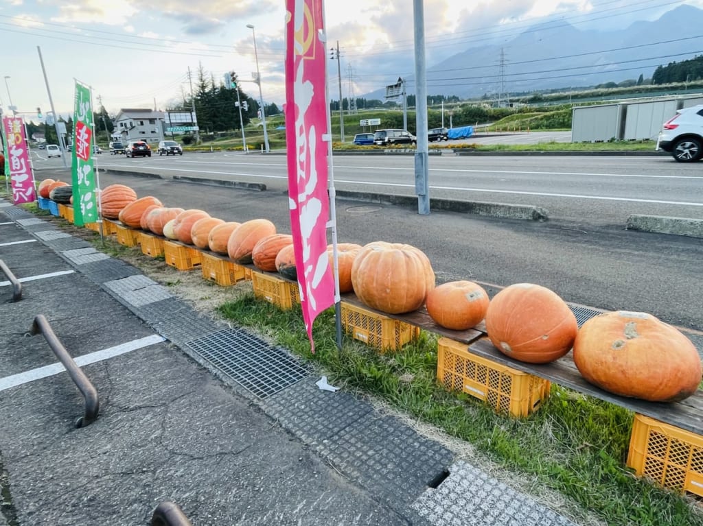 ハロウィンかぼちゃ