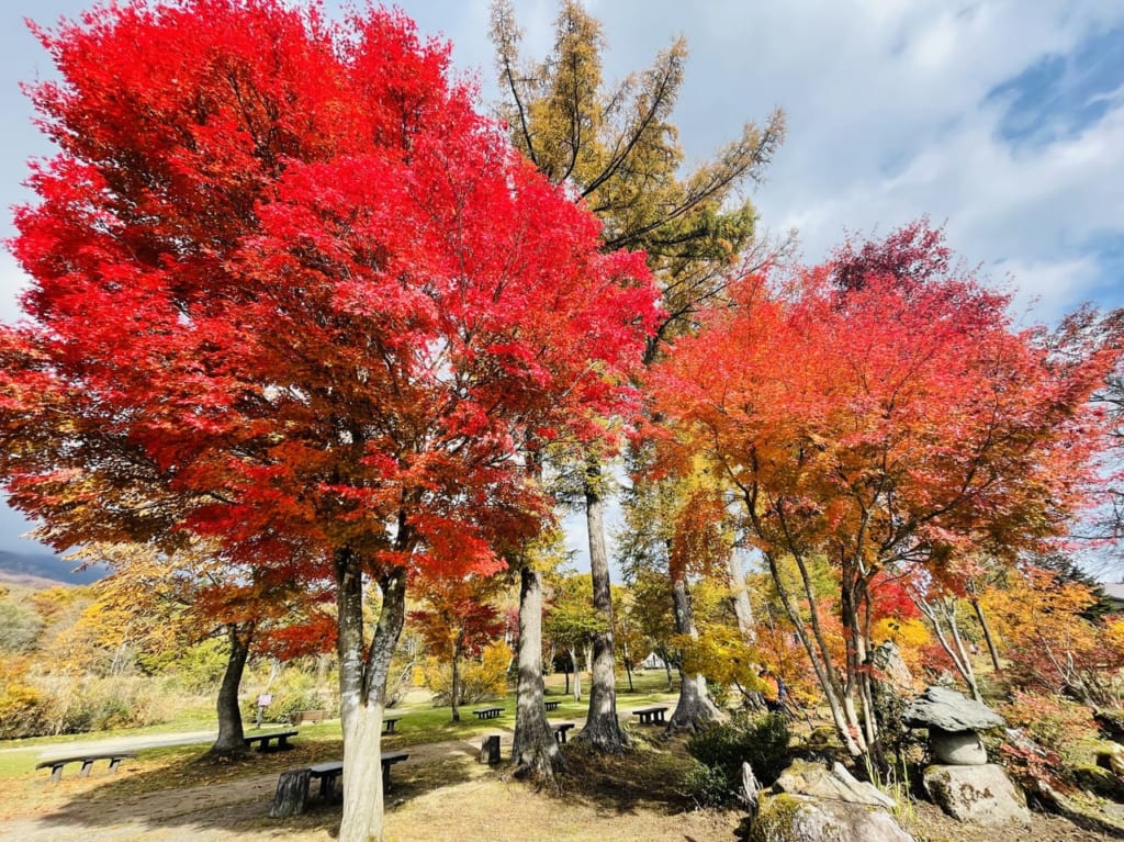 いもり池　紅葉