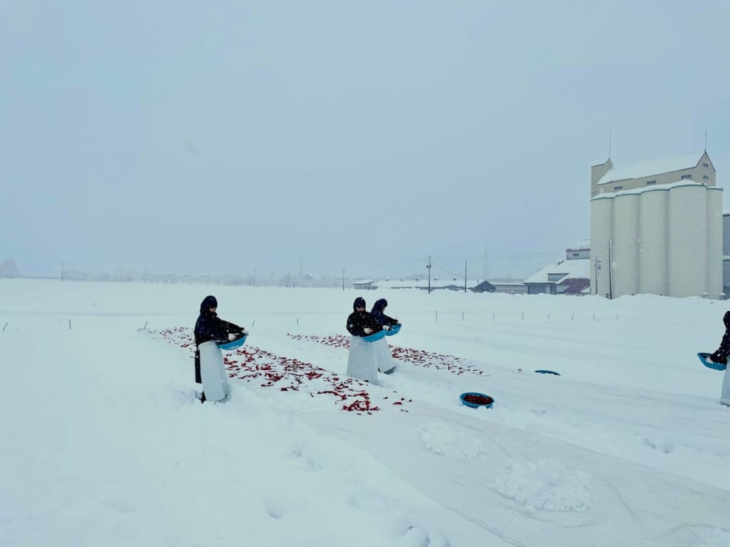 かんずり雪さらし