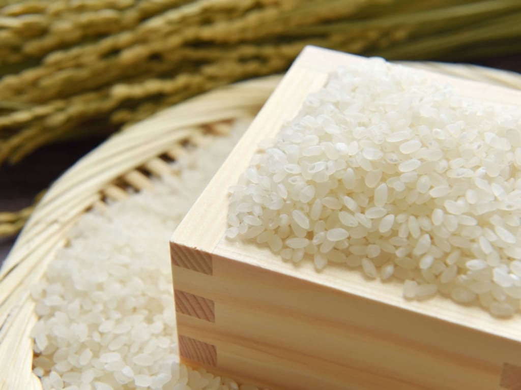 rice image