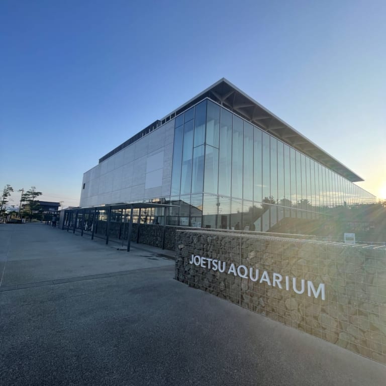 上越市立水族博物館うみがたり