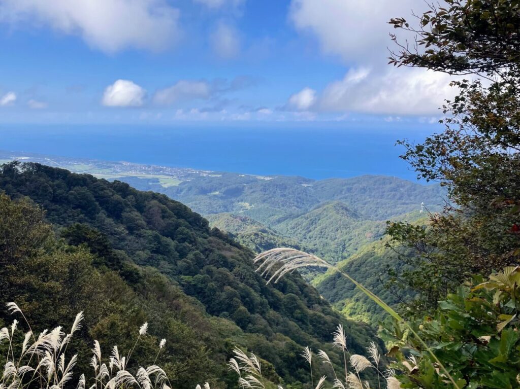 米山の景色