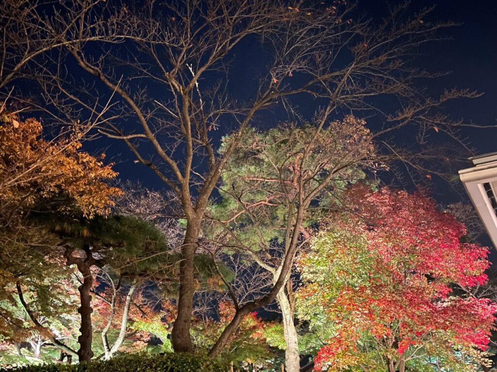 小林古径記念美術館の庭園ライトアップ