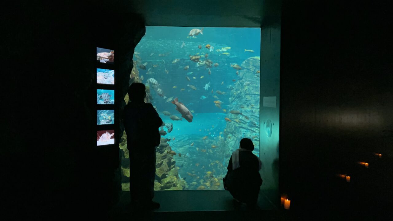 上越市立水族博物館うみがたり「大人のおひとりさま水族館」