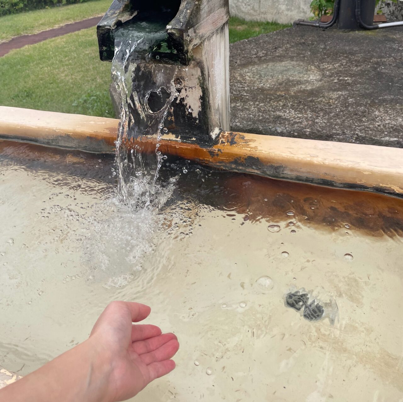 赤倉温泉「湯と花の公苑」