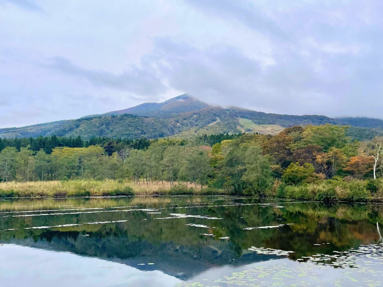 いもり池の紅葉状況