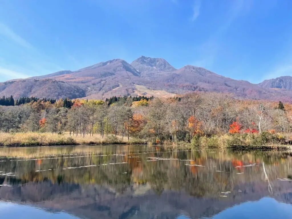 いもり池周辺の紅葉