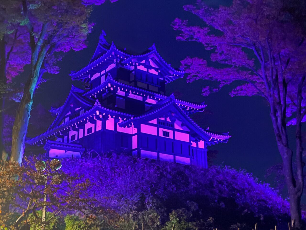 高田城三重櫓パープルライトアップ