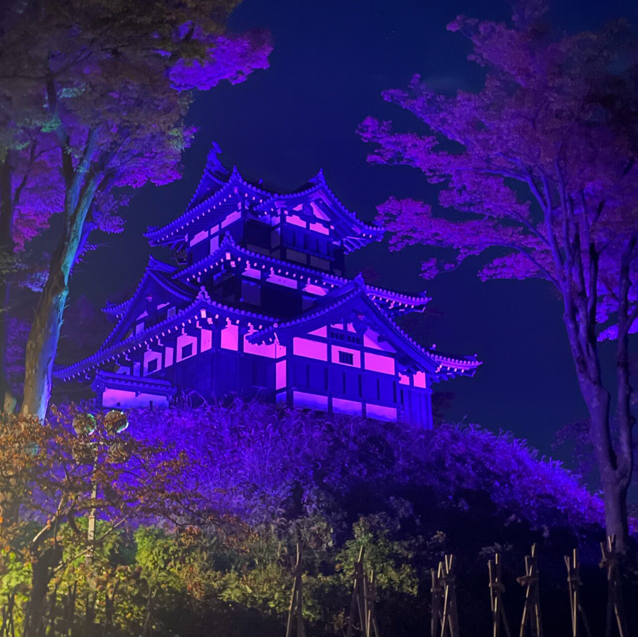 上越市】11/12～25は「女性に対する暴力をなくす運動」期間。 高田城