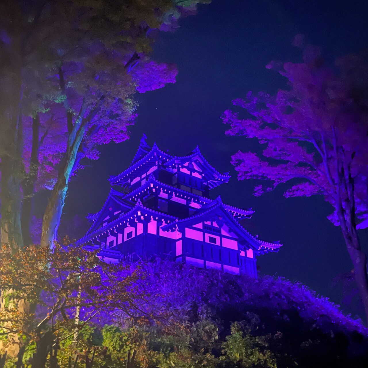 高田城三重櫓パープルライトアップ