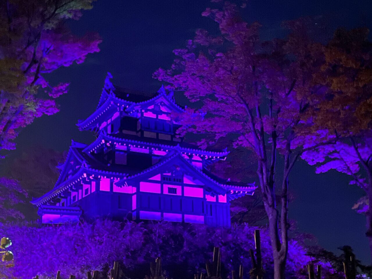 高田城三重櫓パープルライトアップ