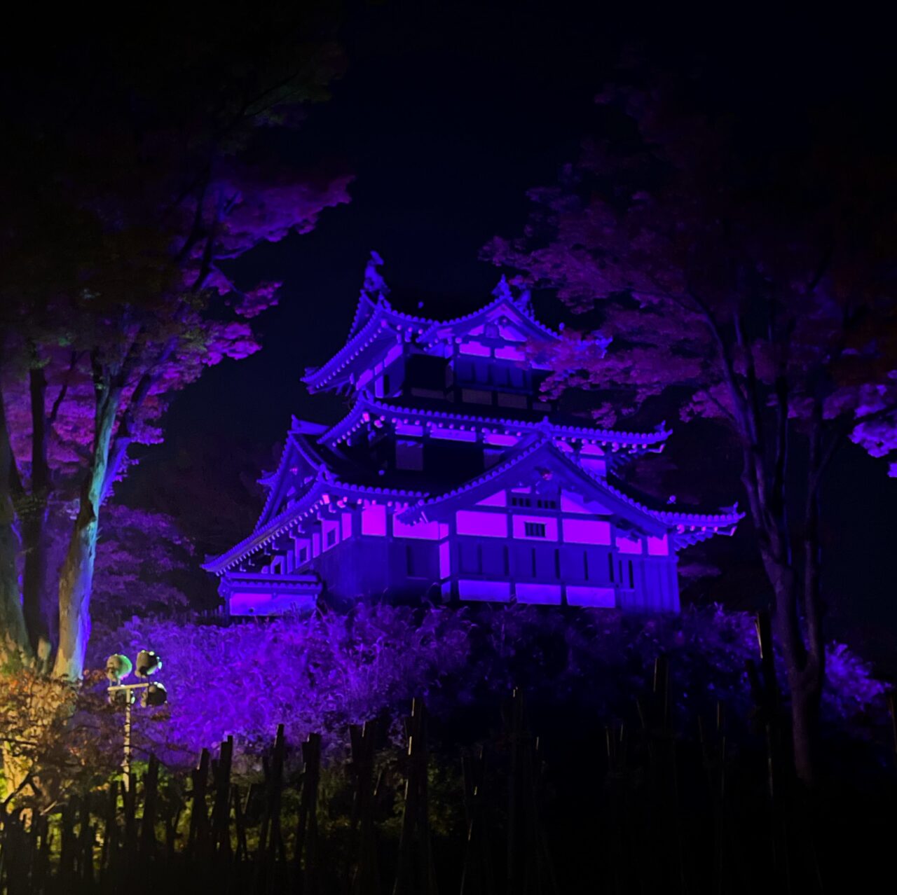 高田城三重櫓パープルライトアップ