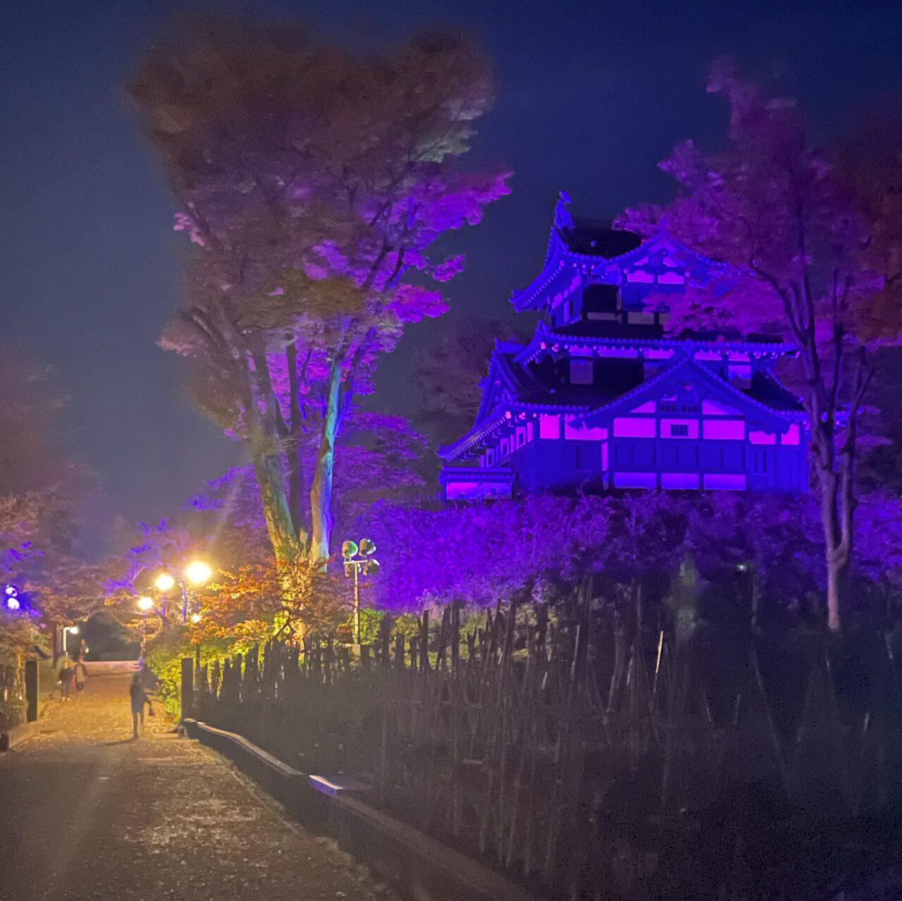 高田城三重櫓パープルライトアップ