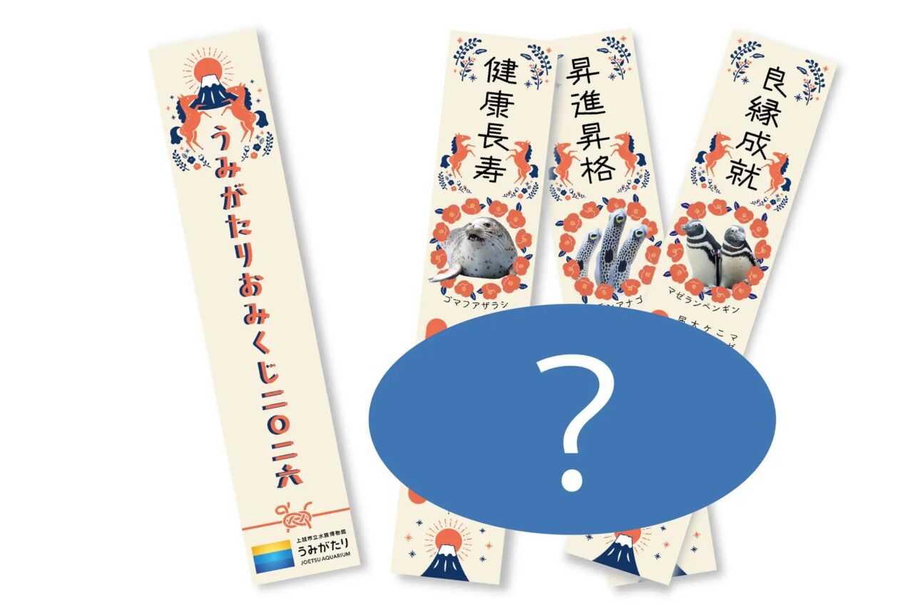 うみがたりのお正月 2026のうみがたりおみくじ2026