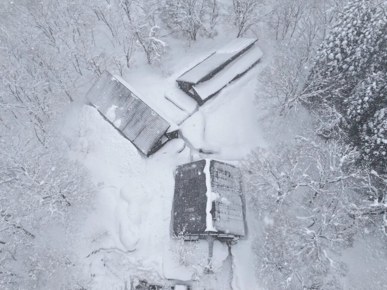 サウナイン新潟妙高高原