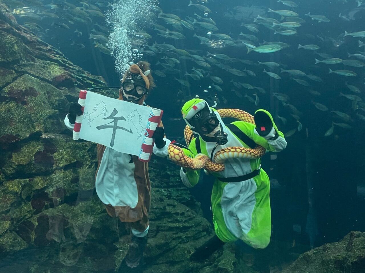 うみがたりの干支の引継ぎ式