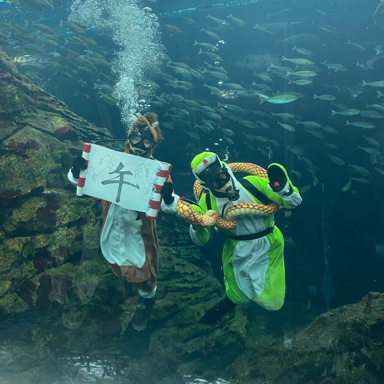 うみがたりの干支の引継ぎ式