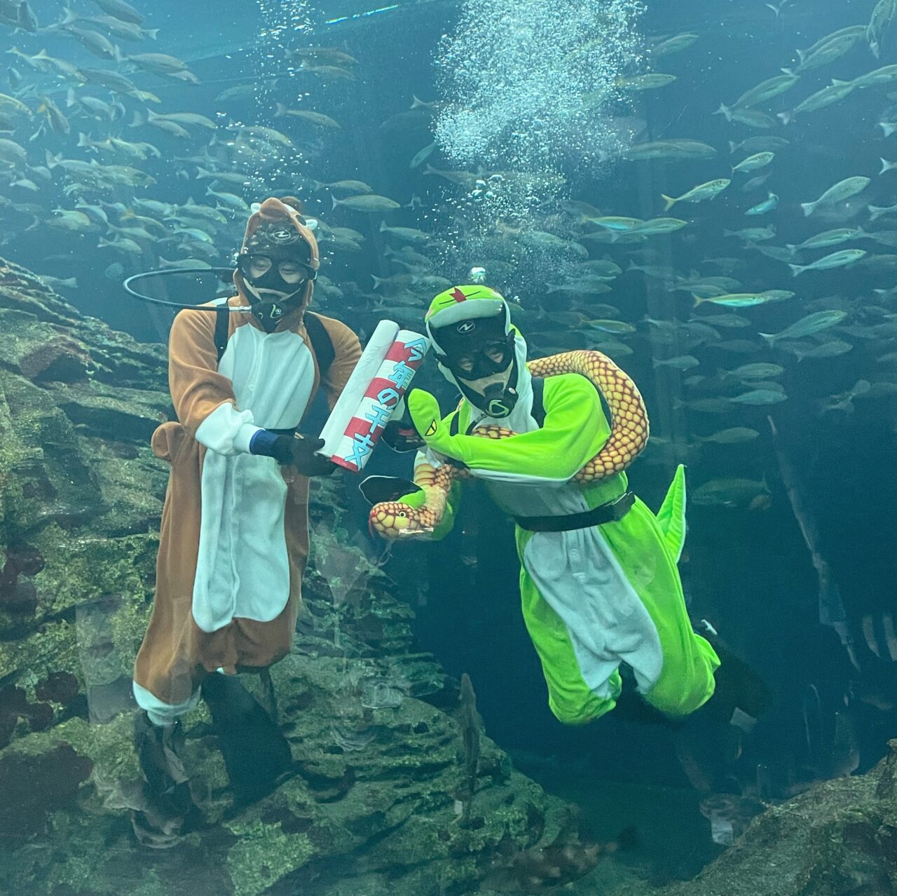 うみがたりの干支の引継ぎ式