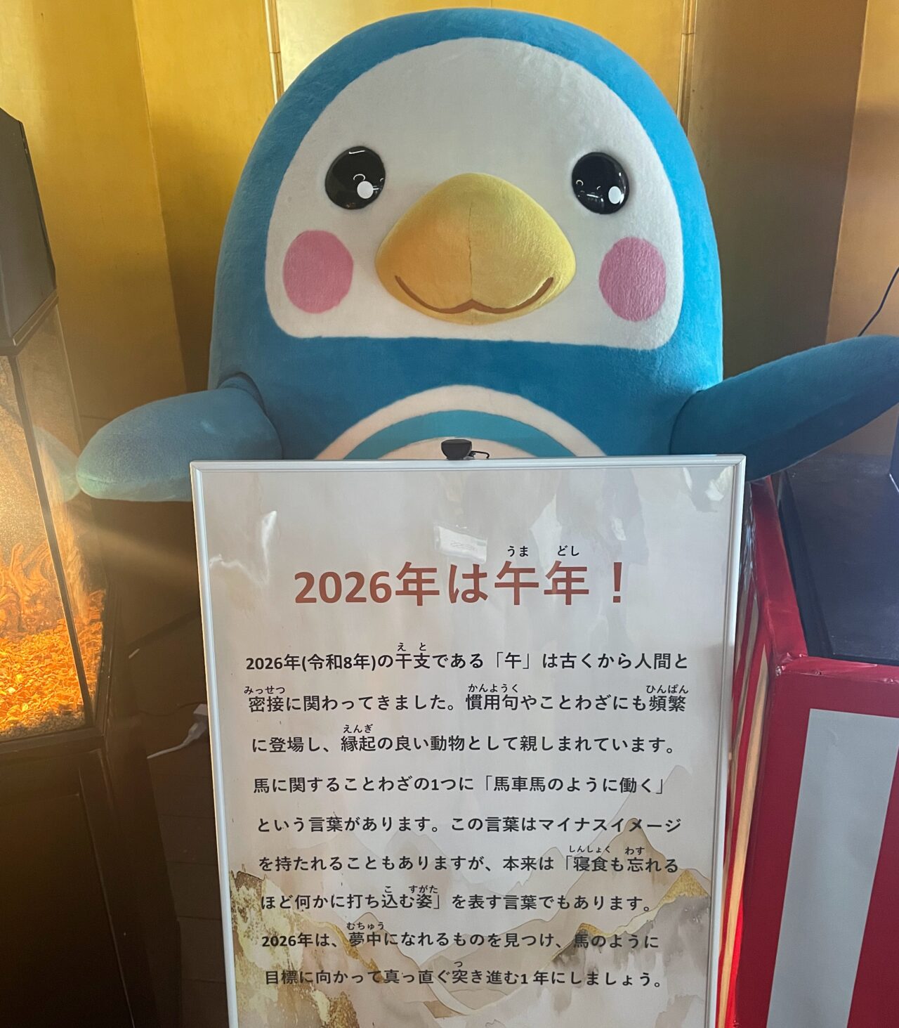 うみがたりのお正月2026
