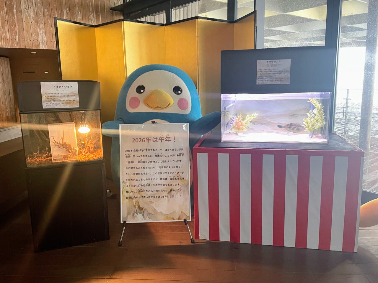 うみがたりの干支水槽展示