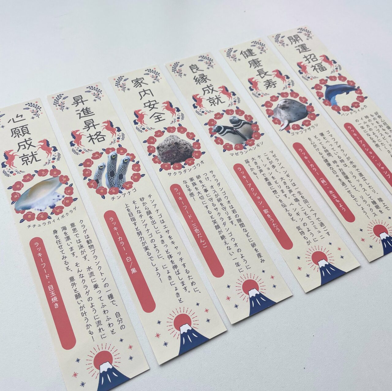 うみがたりのおみくじ2026