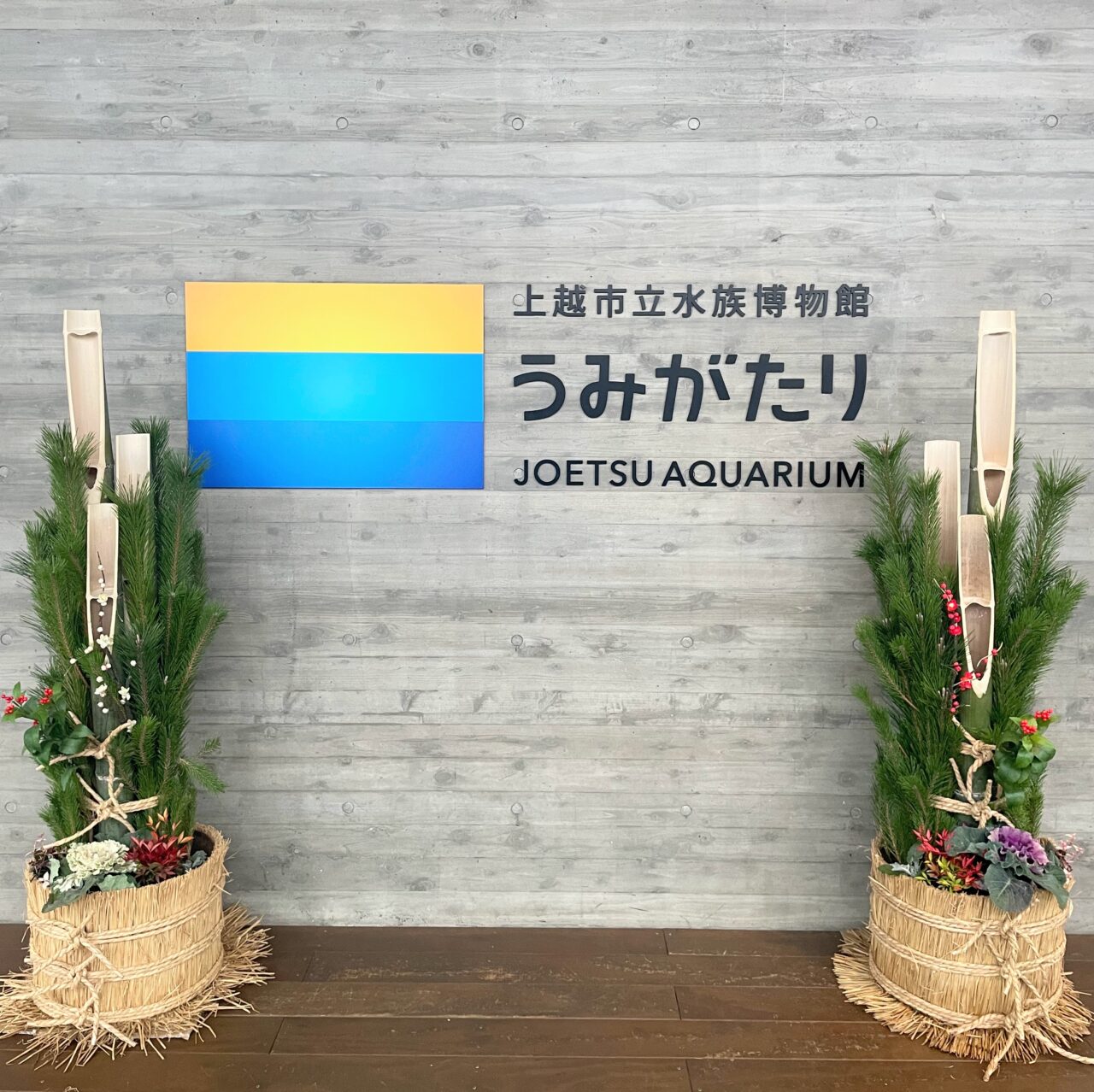 うみがたりのお正月2026