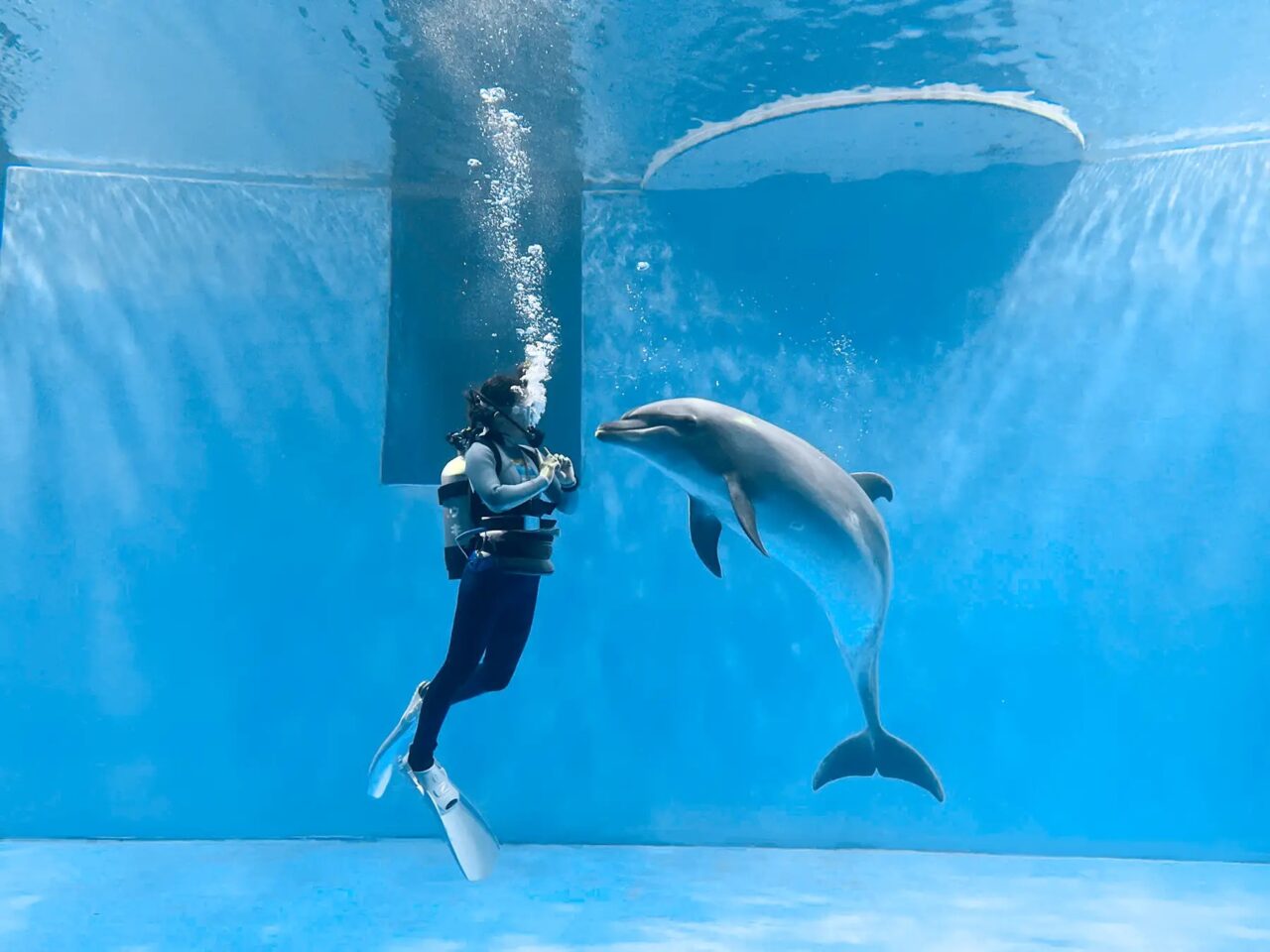 上越市立水族博物館うみがたり「ハートフルウィンター2026」