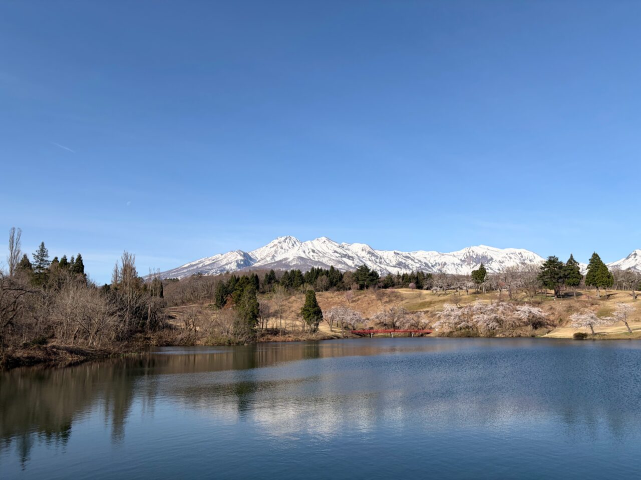 郷区松ヶ峯周辺の桜