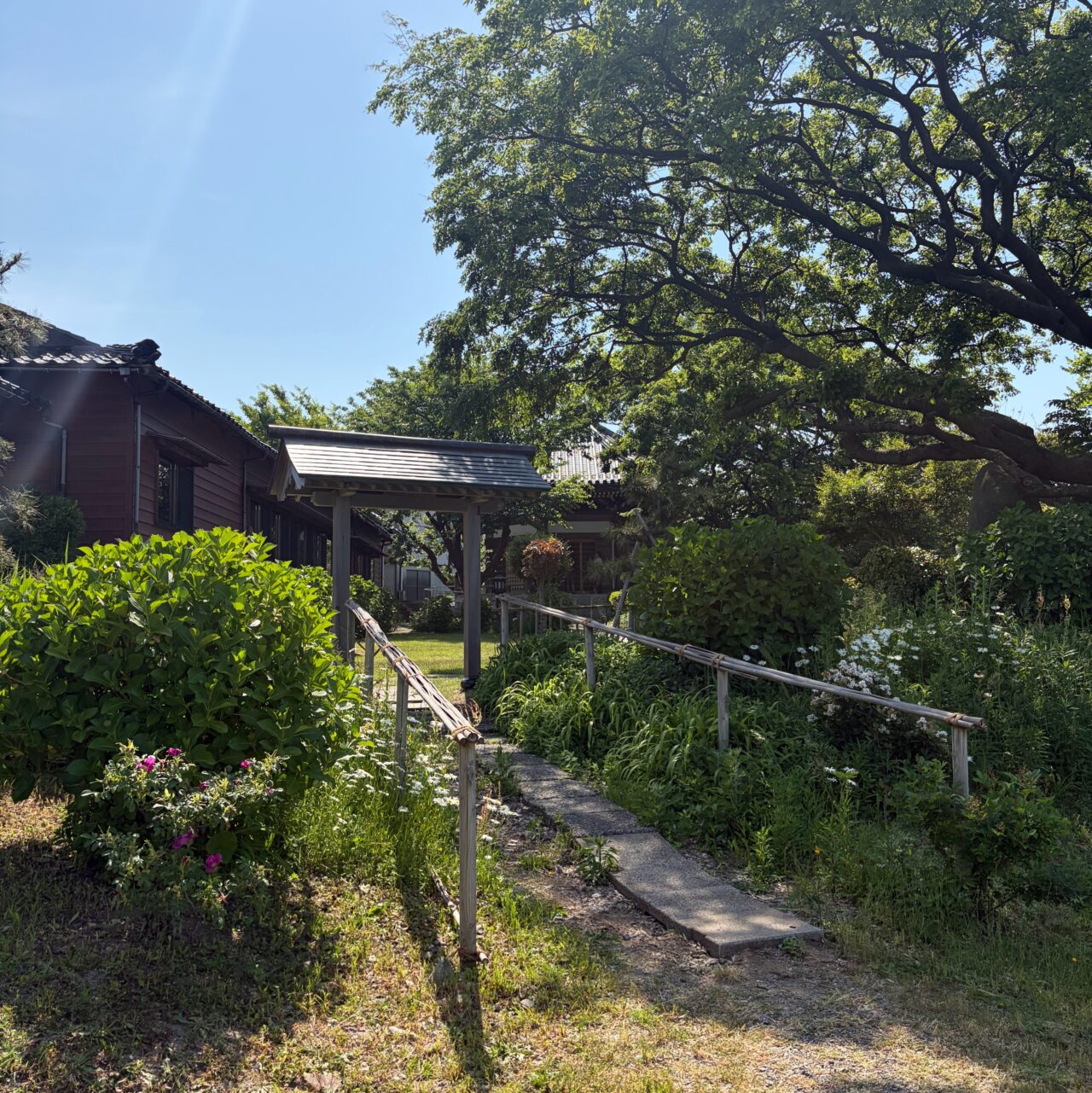 居多ヶ浜