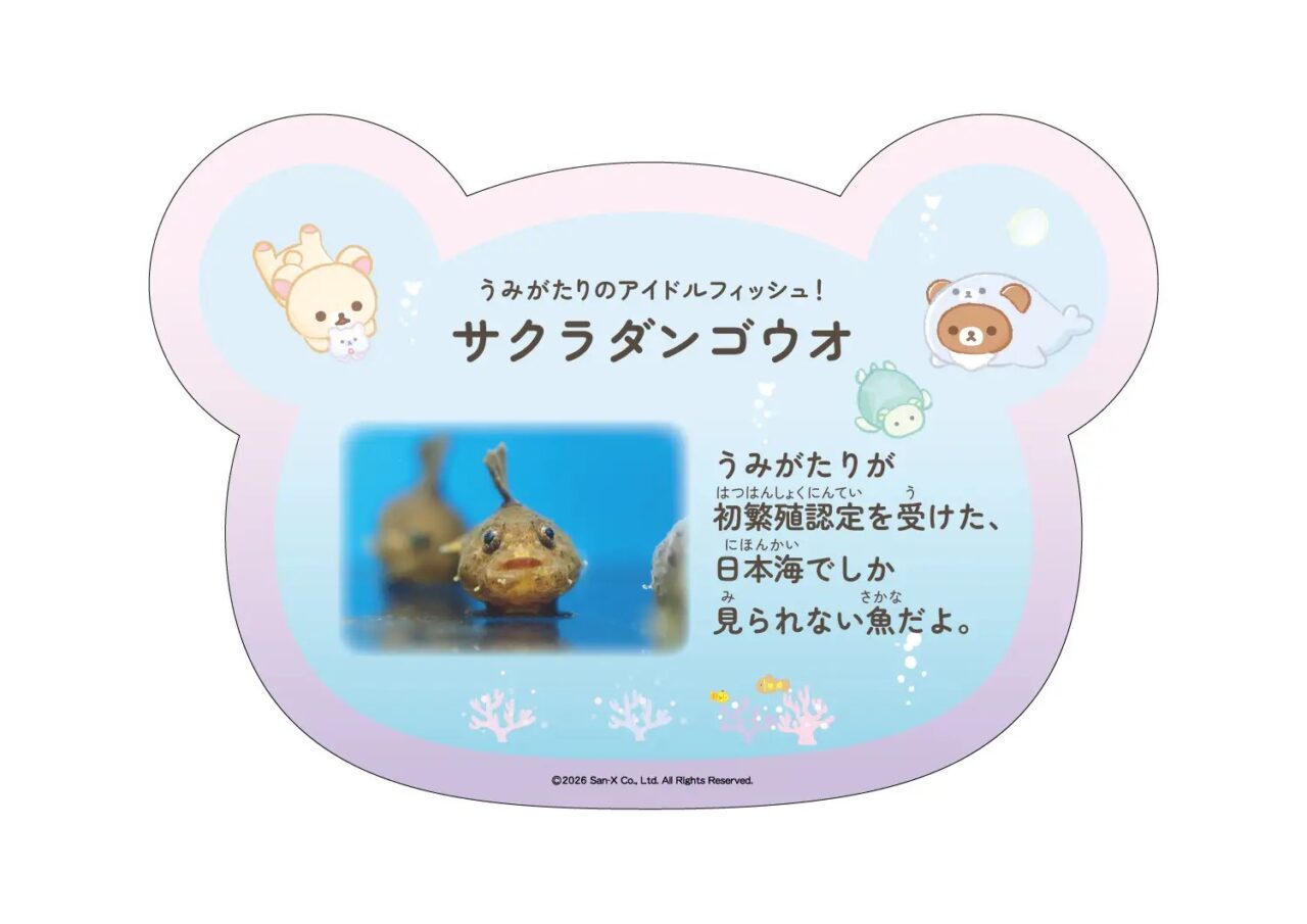 上越市立水族博物館うみがたりにて“リラックマと水族館のコラボイベント”が全国初開催