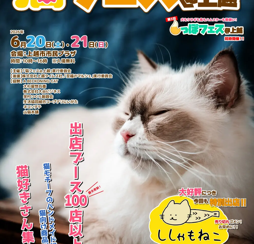 第8回 猫フェス@上越