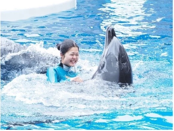 水族館で涼しい夏を体感! 7/11〜9/23「うみがたりSUMMER2026」開催