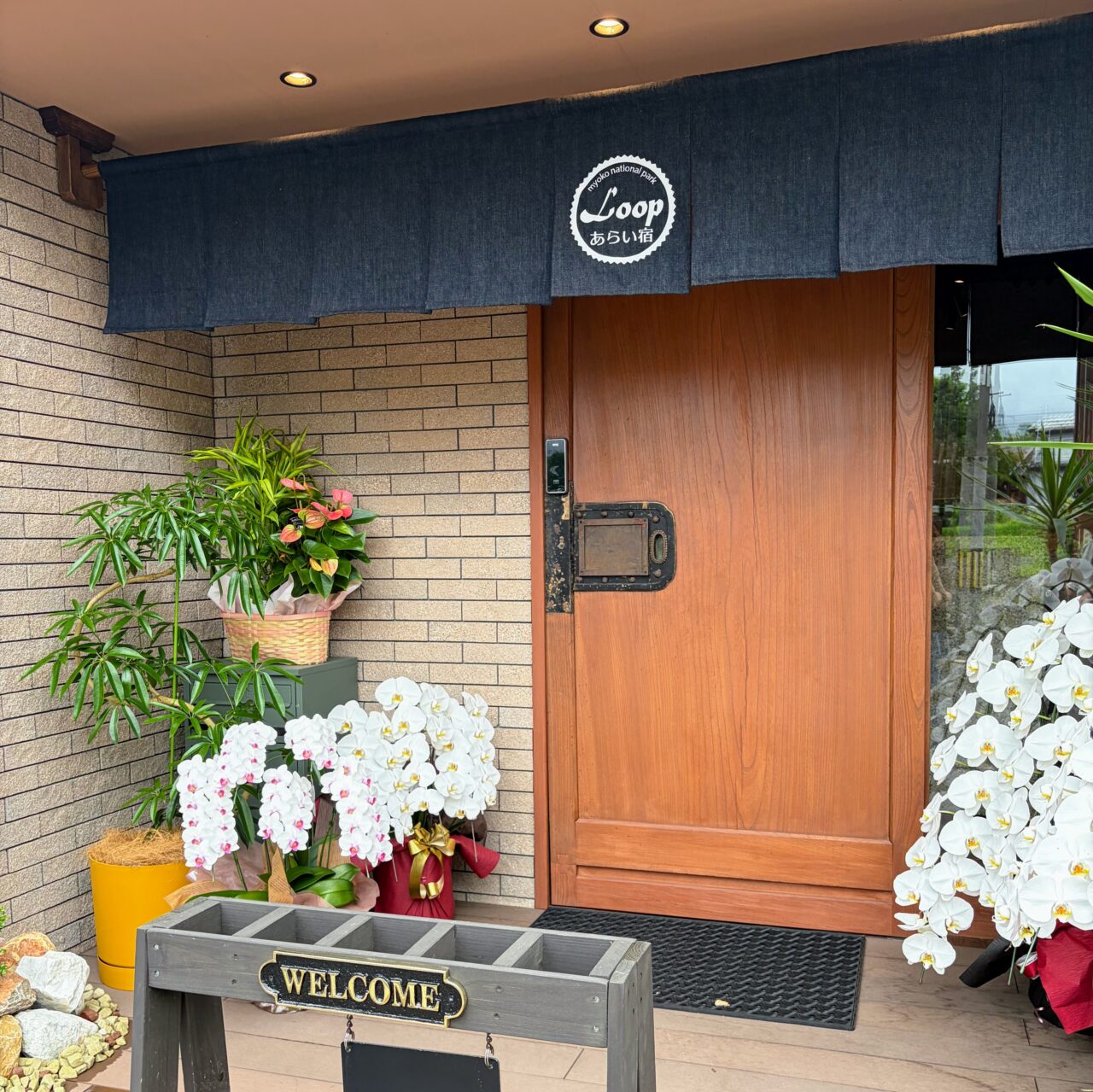 北国街道の宿場町に、人がつながる灯りを。ランチやディナーも楽しめる「TOMO cafe.」がオープン