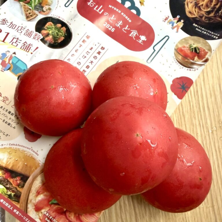 泊まって、食べて、買って楽しむ!“高原とまと”を巡る1泊2日の「お山のとまと食堂」満喫コース