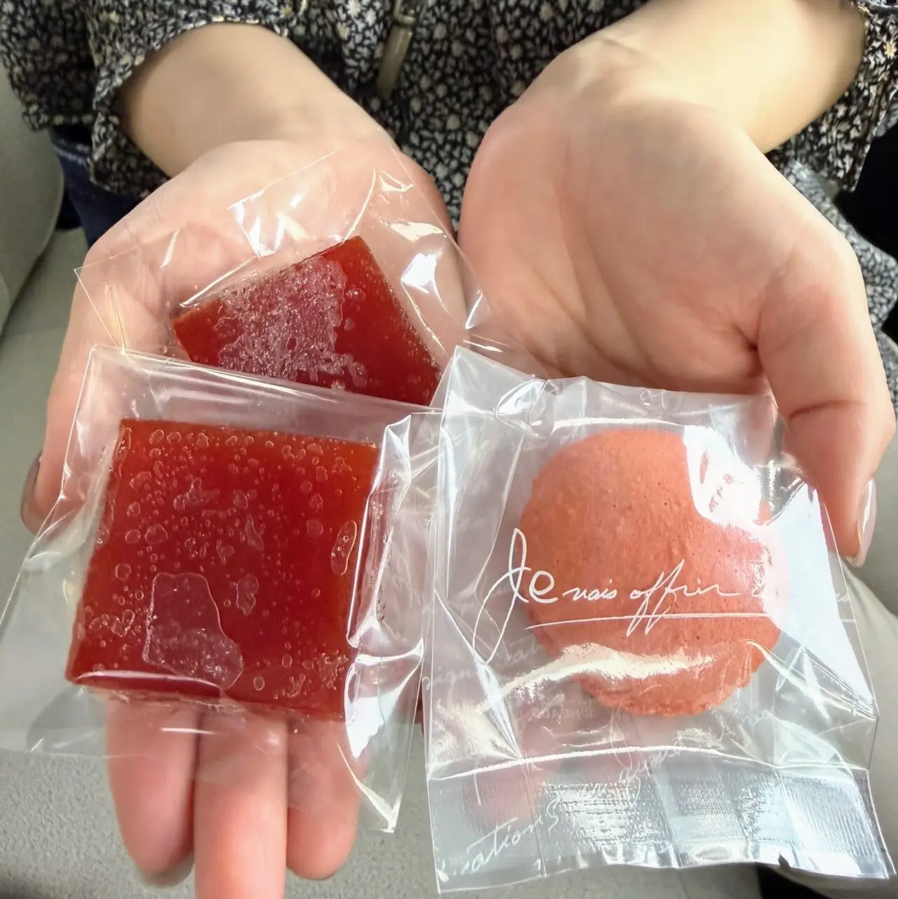 泊まって、食べて、買って楽しむ!“高原とまと”を巡る1泊2日の「お山のとまと食堂」満喫コース
